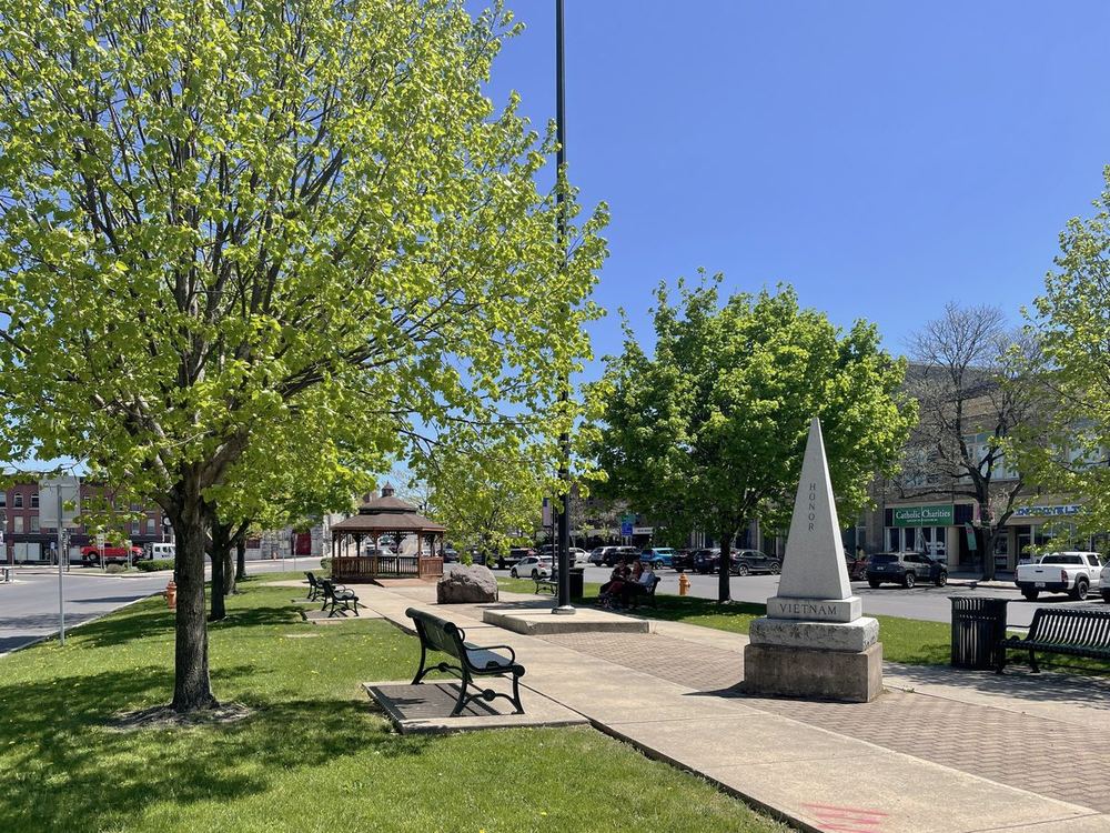 Tree service in Watertown, NY by Northern Tree Experts