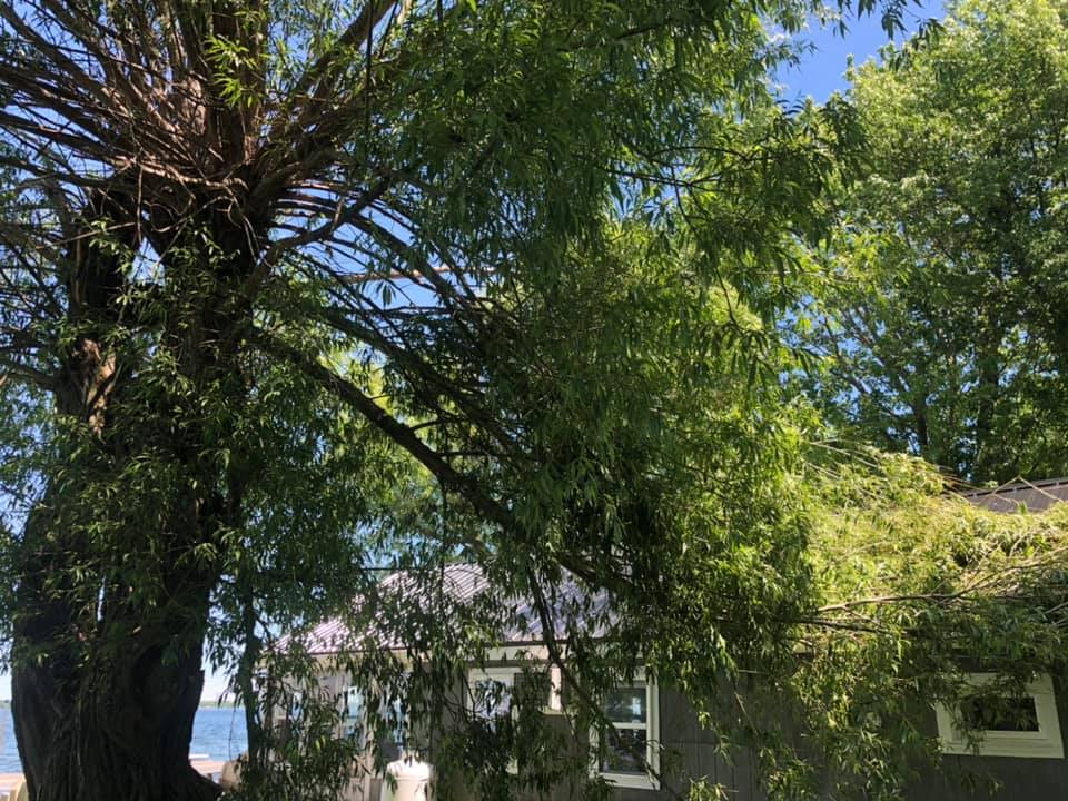 Emergency tree removal of storm-damaged tree fallen on a house in the North Country NY