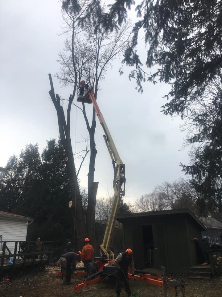 Tree removal service in Watertown NY by Northern Tree Experts crane crew